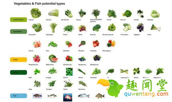 海上巨型漂浮农场，年产10吨食物