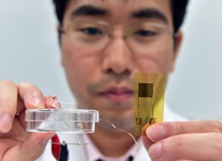 好神奇！ 想知道体温吗？ 像创可贴一样的