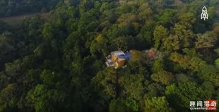 印度买荒地！美夫妻花25年改造成37万坪森