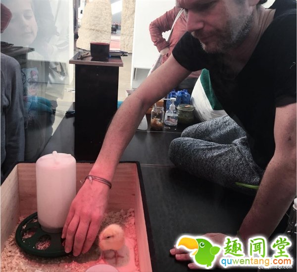 人坐在鸡蛋上能孵出小鸡吗？这个男人做到了！