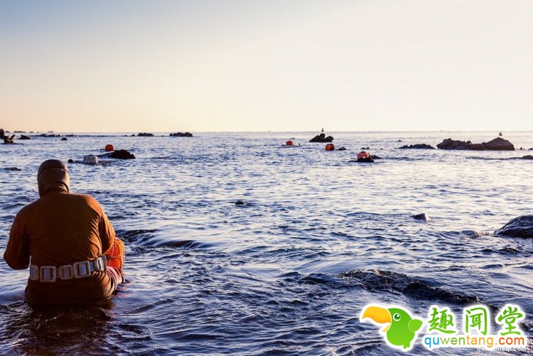 现实版美人鱼平均年龄70岁，你吃的美味都出自她们之手