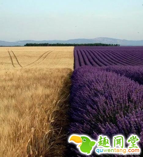 这些图片，看过2张以上算你牛逼！