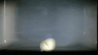 这些东西绝对不能丢进微波炉 有的会爆炸