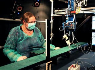 重要实验：科研人员实现用程序控制瘫痪的