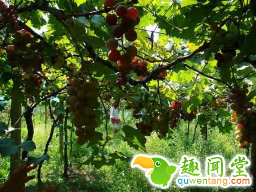 27个实用生活小窍门，太有创意了！ | jiaren.org