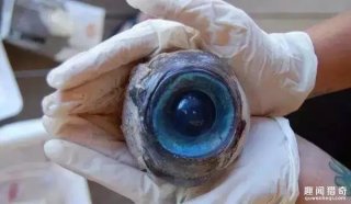 保证你一样都没听说过！盘点地球上的十大