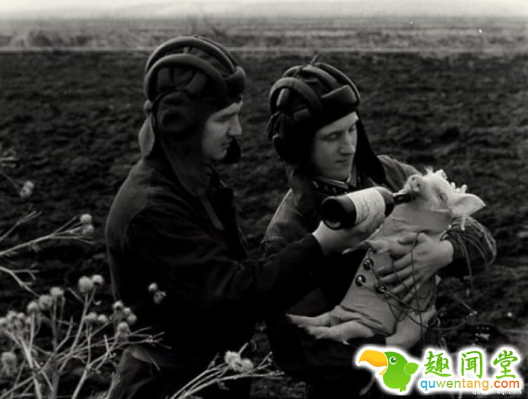 天宫二号发射之后，我们研究了下如何送一只青蛙上太空