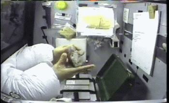 天宫二号发射之后，我们研究了下如何送一只青蛙上太空