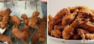 搞笑趣图：他们长得这么像, 真的不是故意