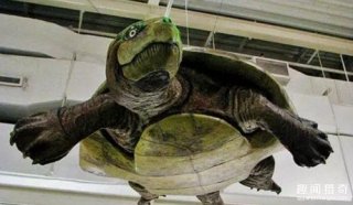 恐龙都敢吃？盘点那些曾经真实存在的逆天