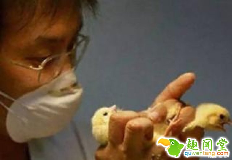 【真相帝】世上还有这种奇葩职业，居然还那么高薪！