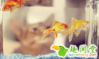 18个让你震惊的冷知识