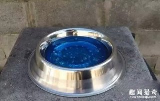 男子將銅水倒入沐浴露里