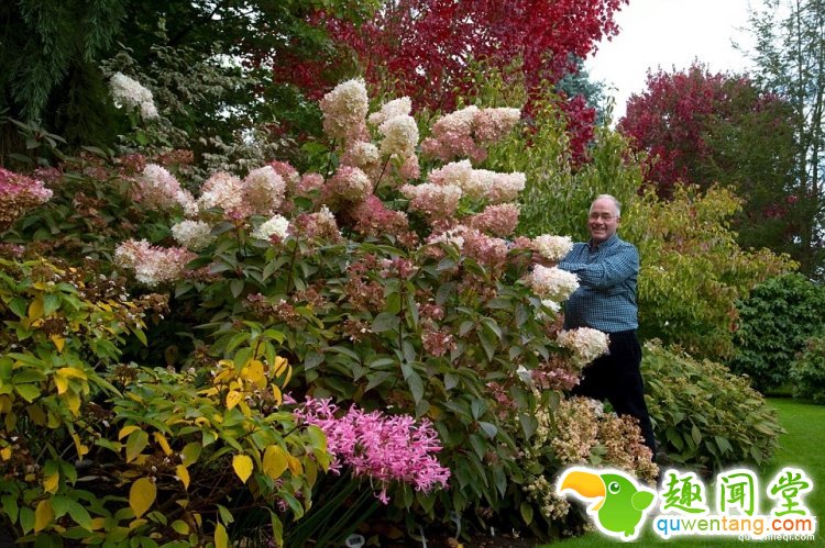英国爸爸花费25年，打造浪漫秘密花园