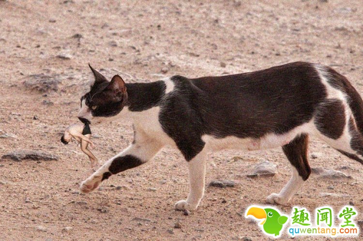 他醉酒照被传到网上后，又被神奇的网友玩坏了