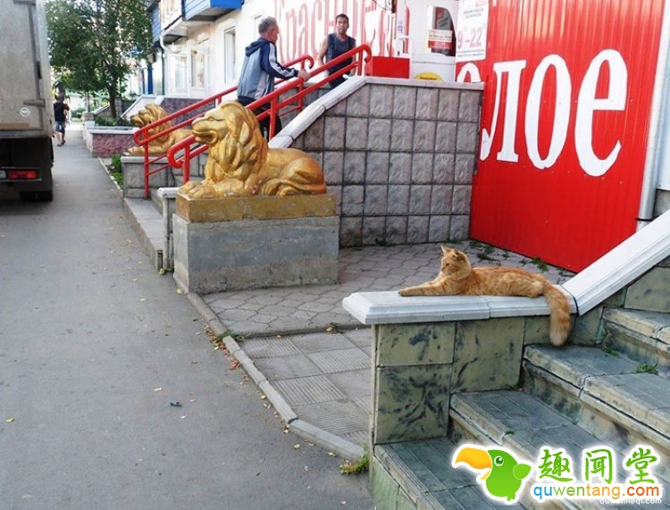 所谓的天时地利人和，说的就是这些照片