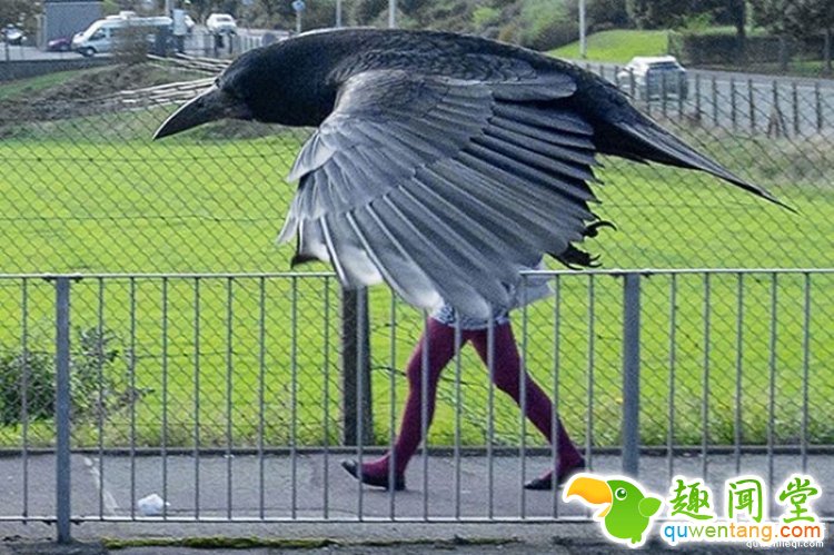 所谓的天时地利人和，说的就是这些照片