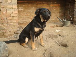 在西班牙，用公?？醇揖尤灰瓤醇夜沸Ч? />
          <h2>在西班牙，用公?？醇揖尤灰瓤醇夜沸Ч?/h2>
          </a>
          <p><span id=