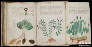 神秘！盘点历史上没人看懂的10本天书