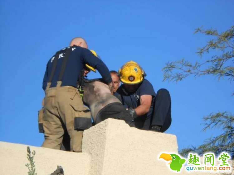 英国一哥们忘带钥匙决定从烟囱爬进去，于是悲剧了