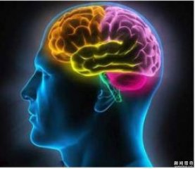 what？女人的大脑在姨妈期居然会变大！