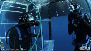 这样的求婚就嫁了吧~他在9米深海底求婚，