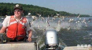 亚洲鲤鱼在美国泛滥成灾，女子用弓箭射鱼