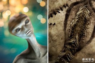 外星人入侵？英国海滩发现大量恐怖异形蛋