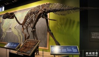 内蒙古发现最完整恐龙化石，身长8尺保存