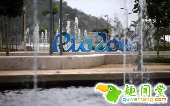 300匹奥运赛马是怎么运到里约的？坐商务舱！