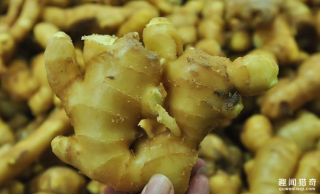 不能不看的10个生活小常识 I 日常生活健康