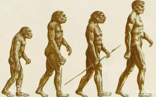 两千万年后的人类，长这个样子？！我拒绝