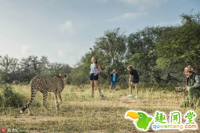 长大后干脆“兼职”当起了导游，日常带着游客在?；で⒉接瓮妫娴氖挚?。