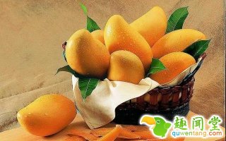 芒果上新季节，好吃营养的热带水果，不得